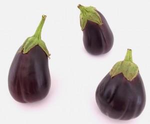 Organic Eggplant Recipes