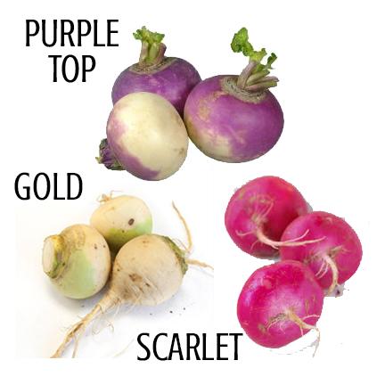 Organic Turnips