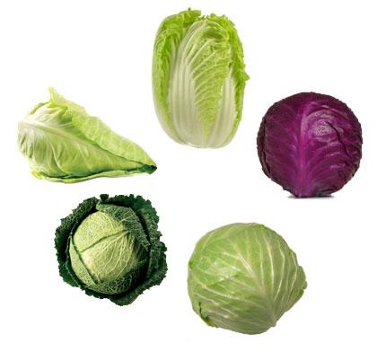 https://www.driftlessorganics.com/wp-content/uploads/2012/12/cabbage5varieties.jpg