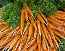 CSA Organic Carrots