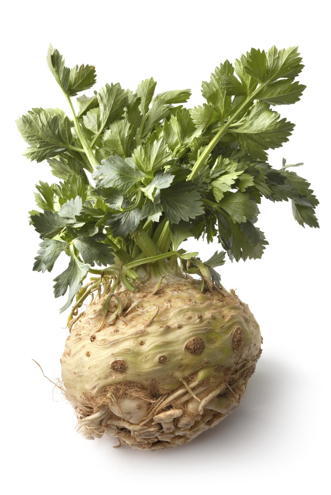 Celeriac bulb