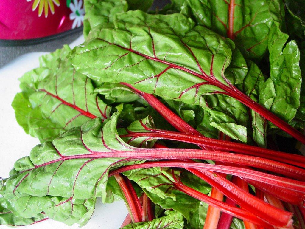 Red Chard