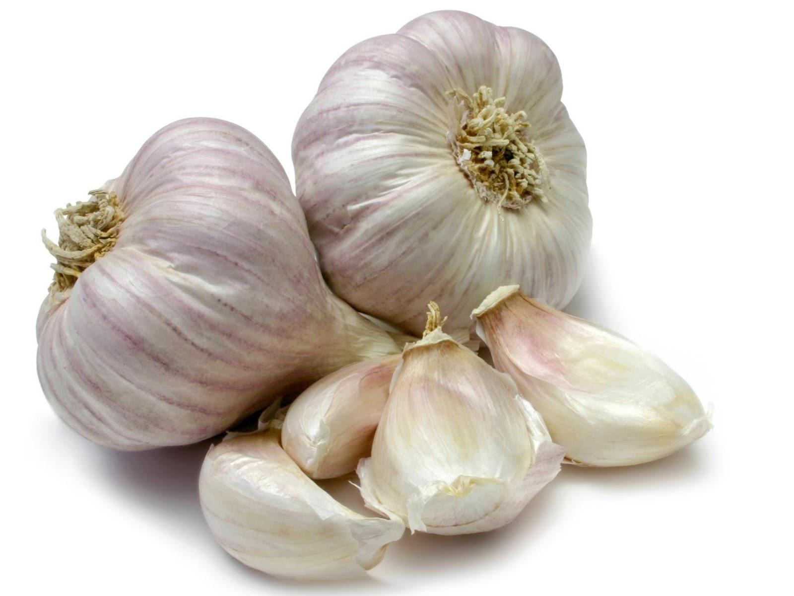 Bulb of Garlic