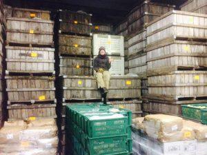 CSA, Winter Veggie Lovers Share, Organic