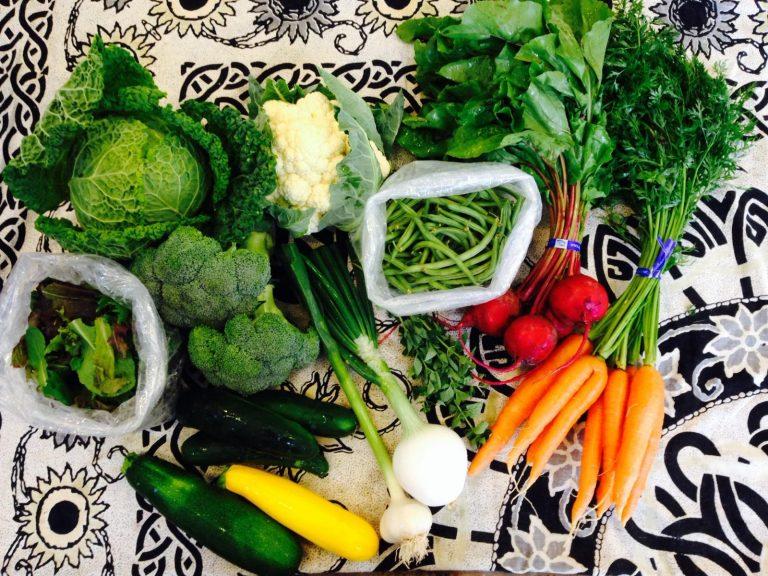 Driftless Organics CSA box
