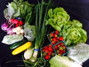 CSA, organic vegetables