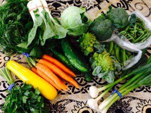 CSA, organic vegetables