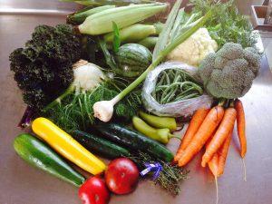 CSA, organic vegetables