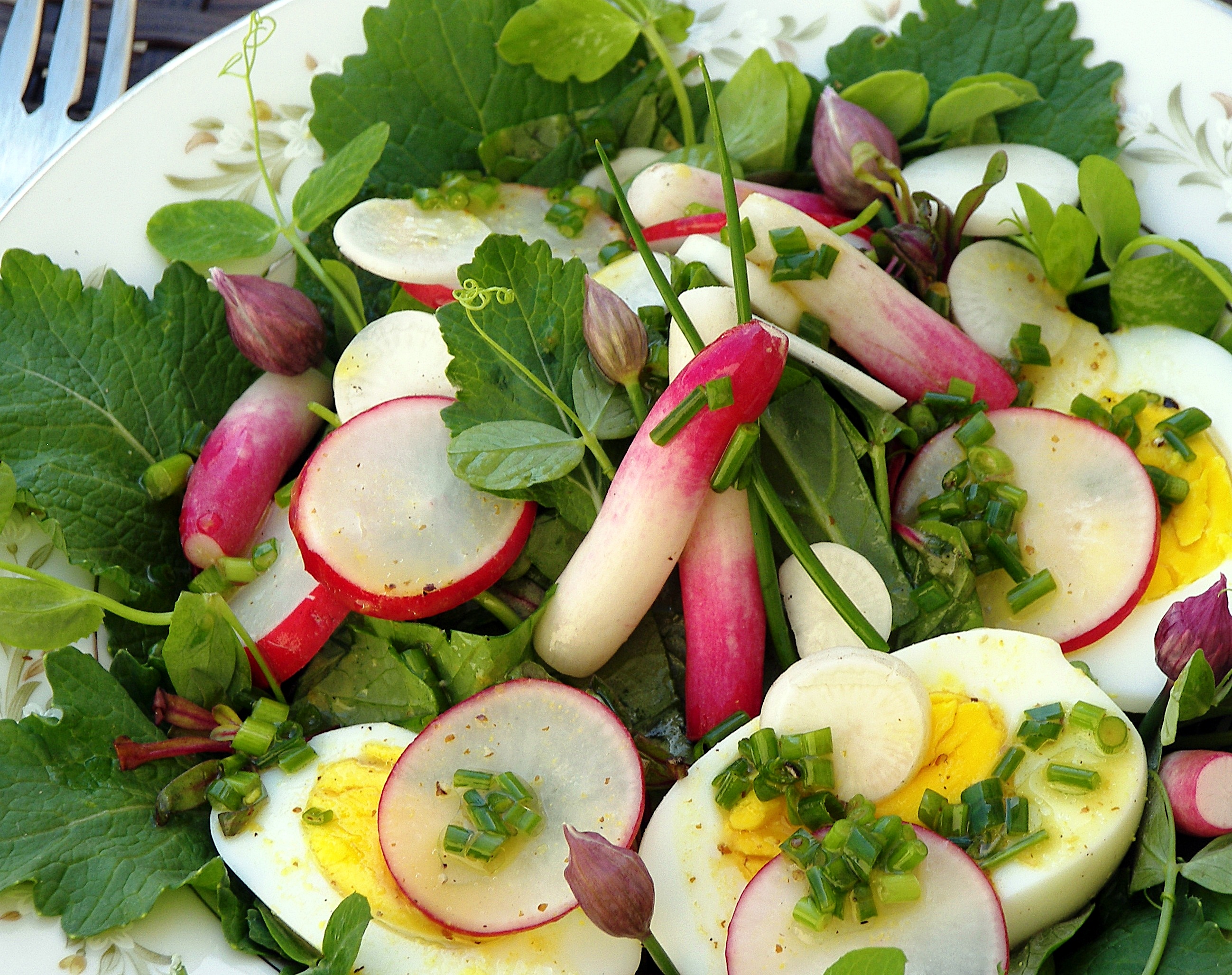 organic-turnip-salad-with-summer-savory-dressing