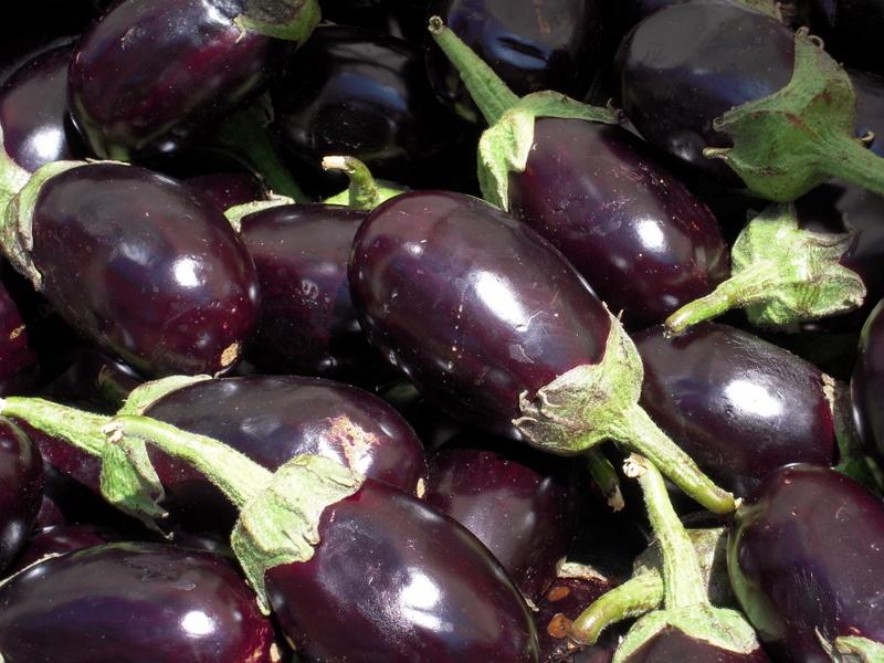 Eggplant