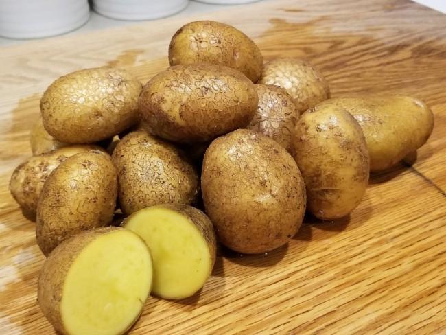 german butterball potatoes