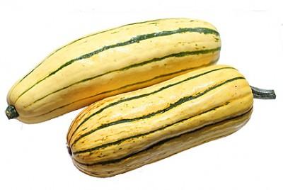 Delicata winter squash