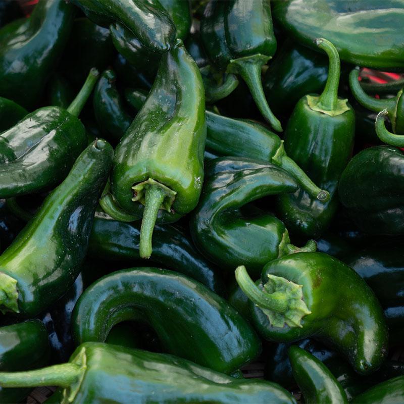 poblano peppers