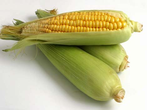 3 ears of sweet corn