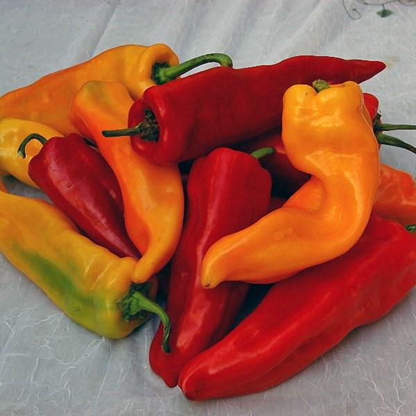 Sweet Roaster Peppers