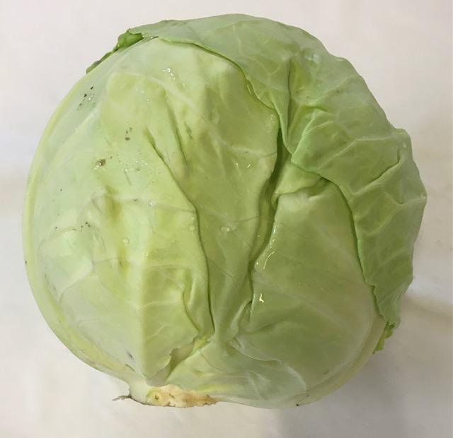 Green Cabbage