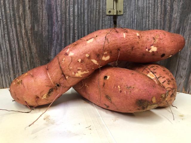 Sweet Potatoes from Driftless Organics