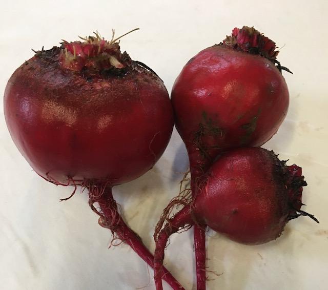 Red Beets